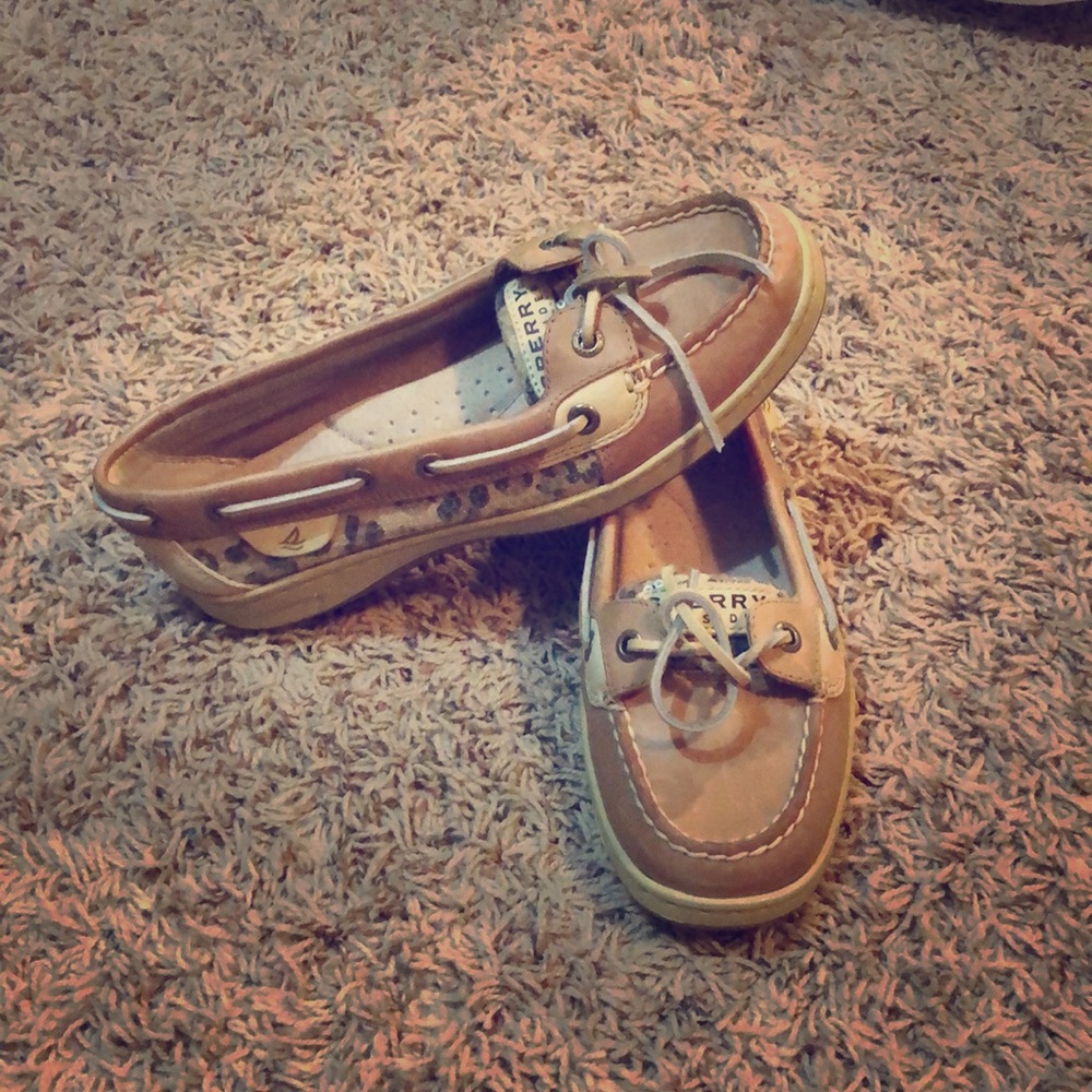Angelfish Sperrys